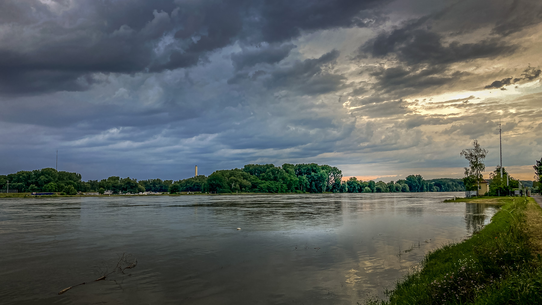 Rheinhochwasser